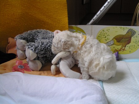 ...tady je slabé místo,,,